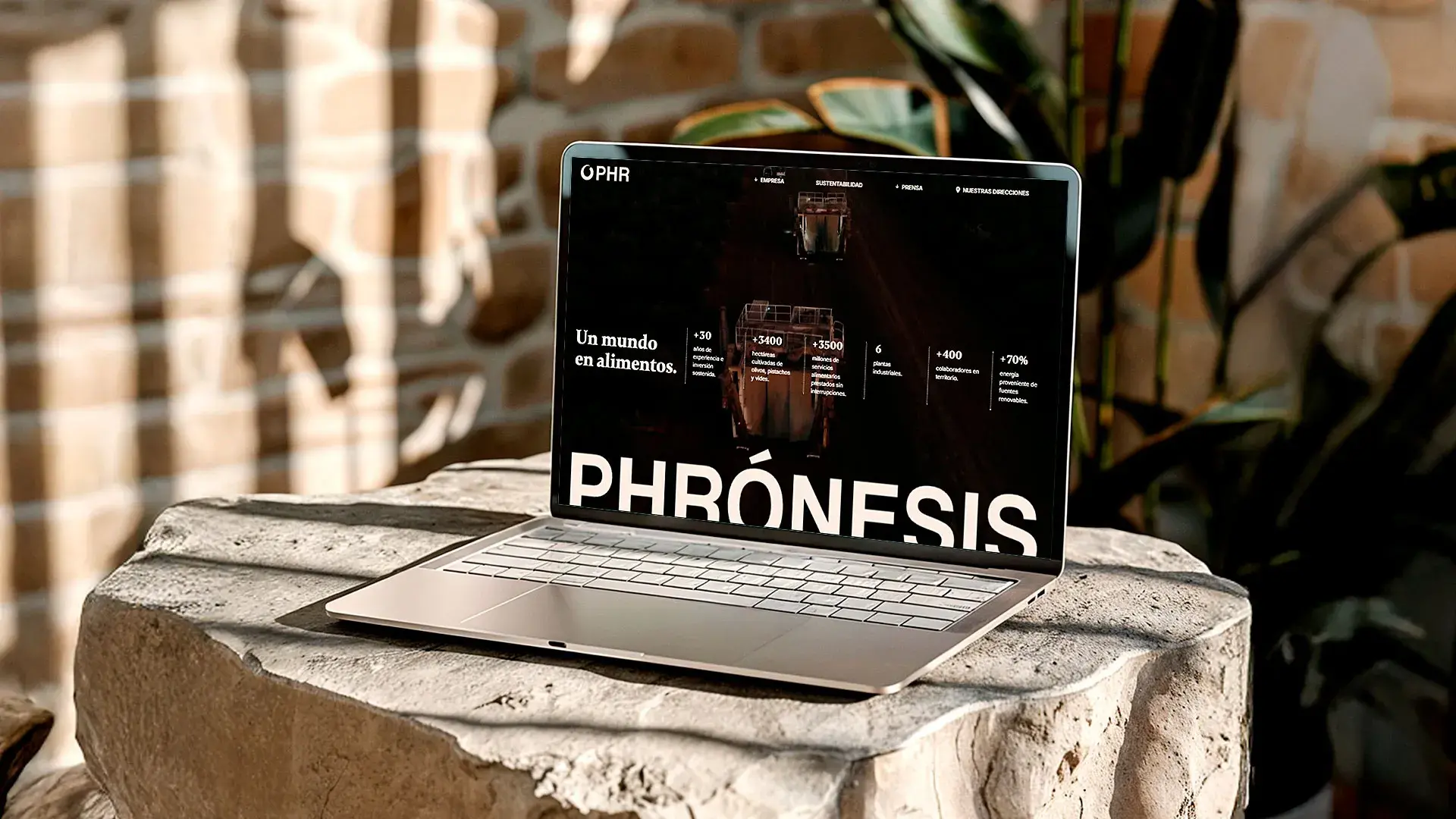 Phronesis